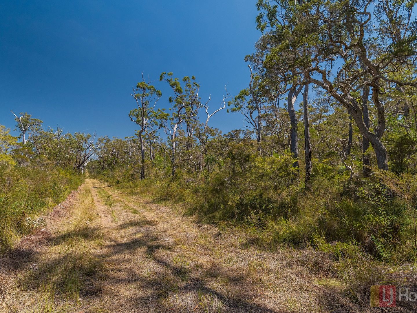 Lot 9 Grasstree Drive, Taloumbi NSW 2463, Image 2