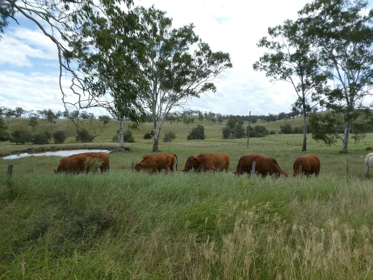 Gayndah QLD 4625, Image 0