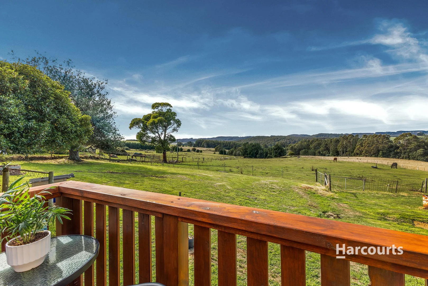 Additional image 22 of 963 Murchison Highway, Elliott TAS 7325