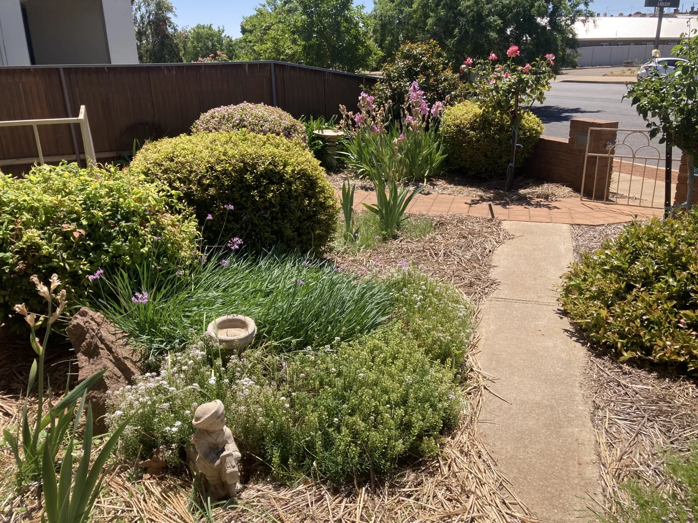 Image 11