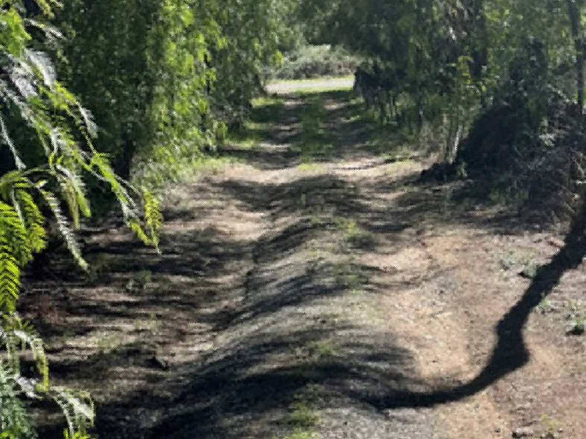 Additional image 12 of Lot 1 Noyeau Street, Woodstock NSW 2793