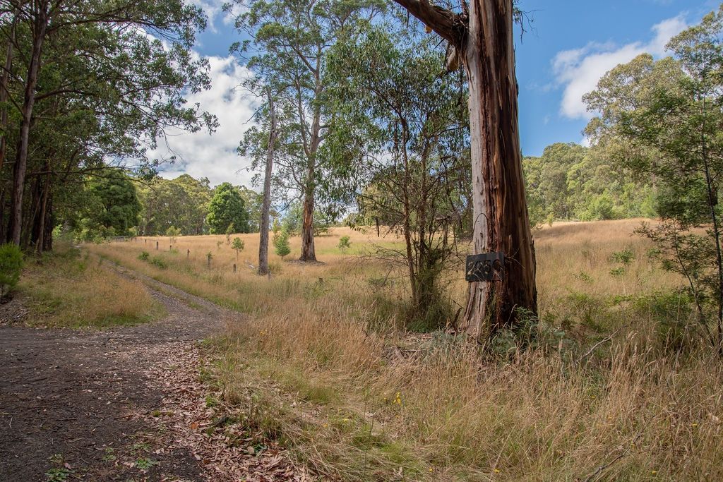 2950 ColacForrest Road, Forrest VIC 3236 Vacant Land for Sale