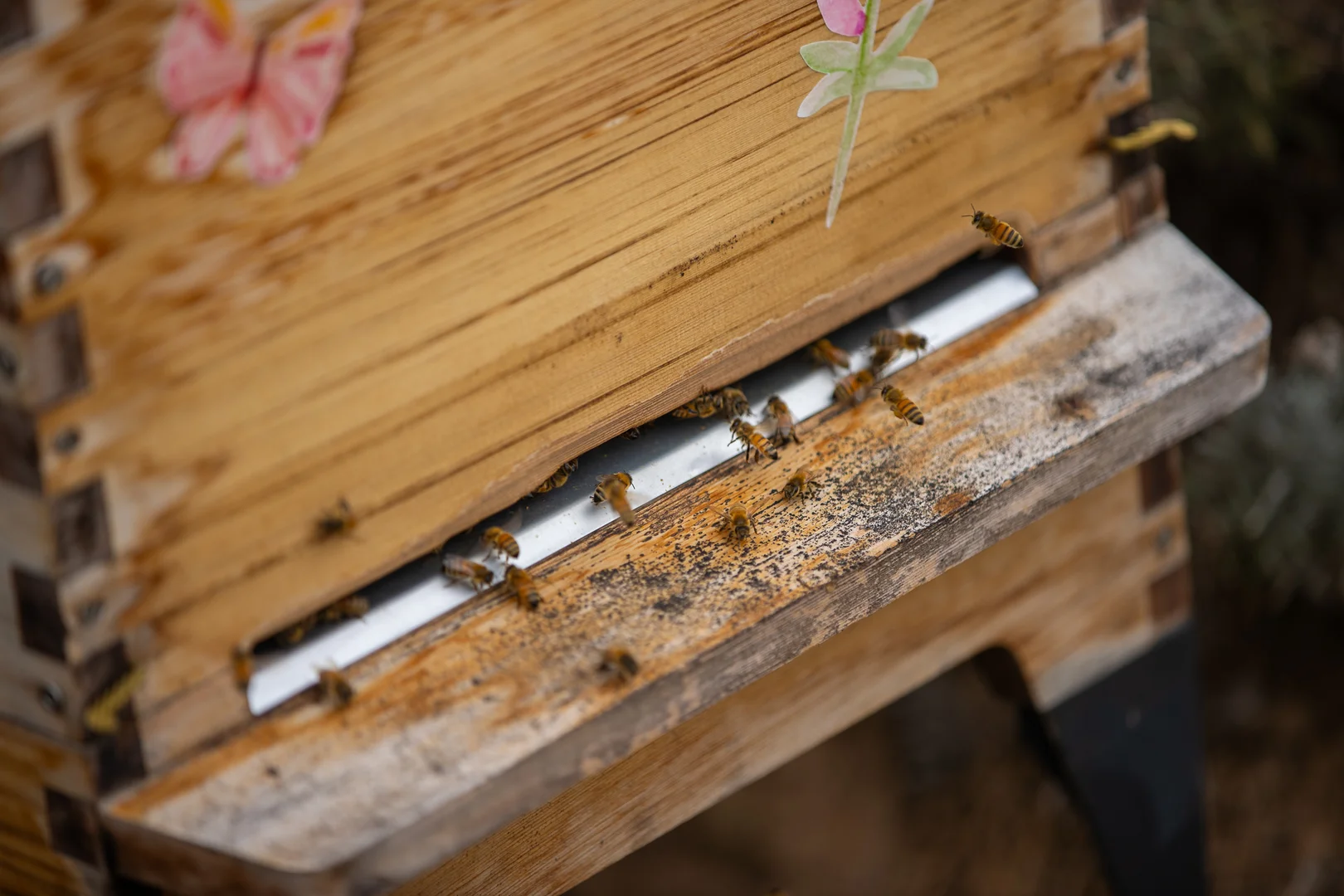 Additional image 18 of 1664 Ogunbil Road, Ogunbil NSW 2340