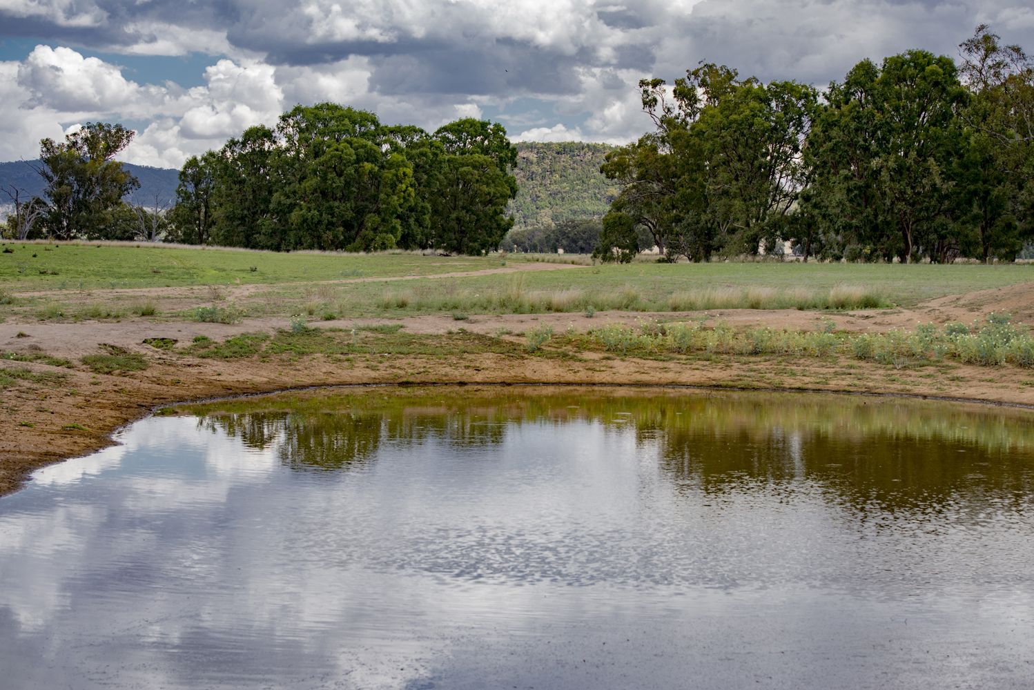 ' CARLTON', Coonabarabran NSW 2357, Image 2