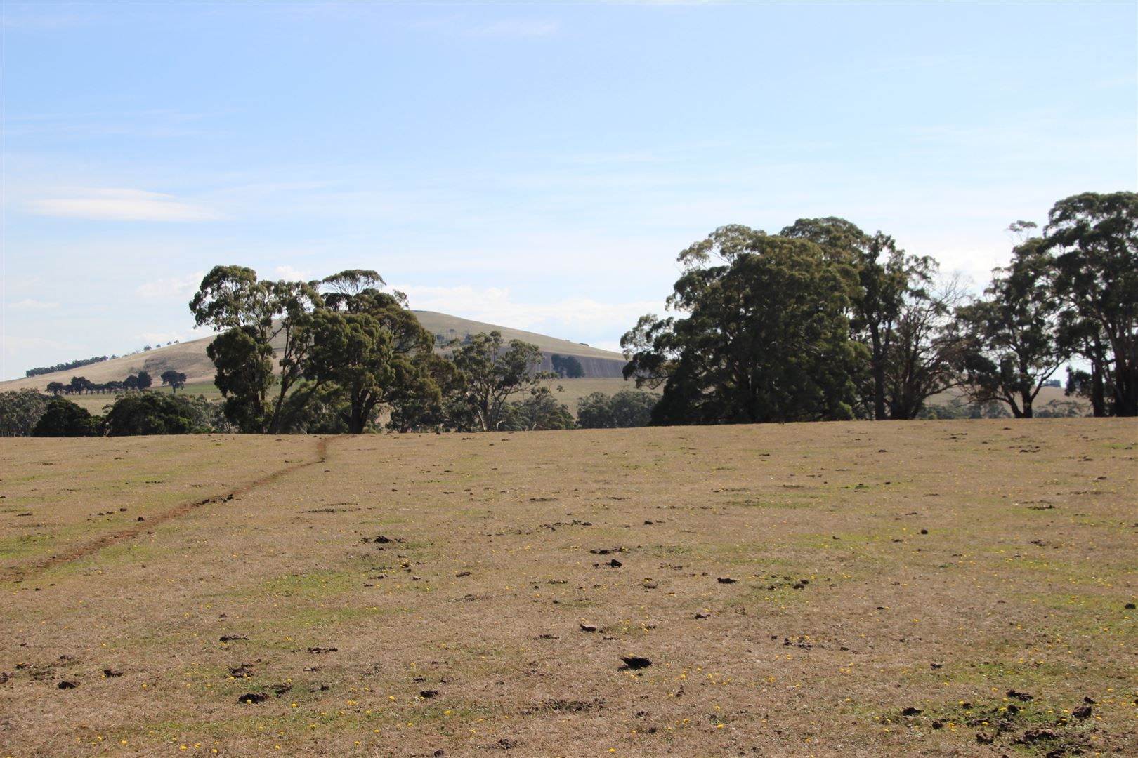 'O’Mellys' , Long Swamp Road, Dean VIC 3363, Image 1