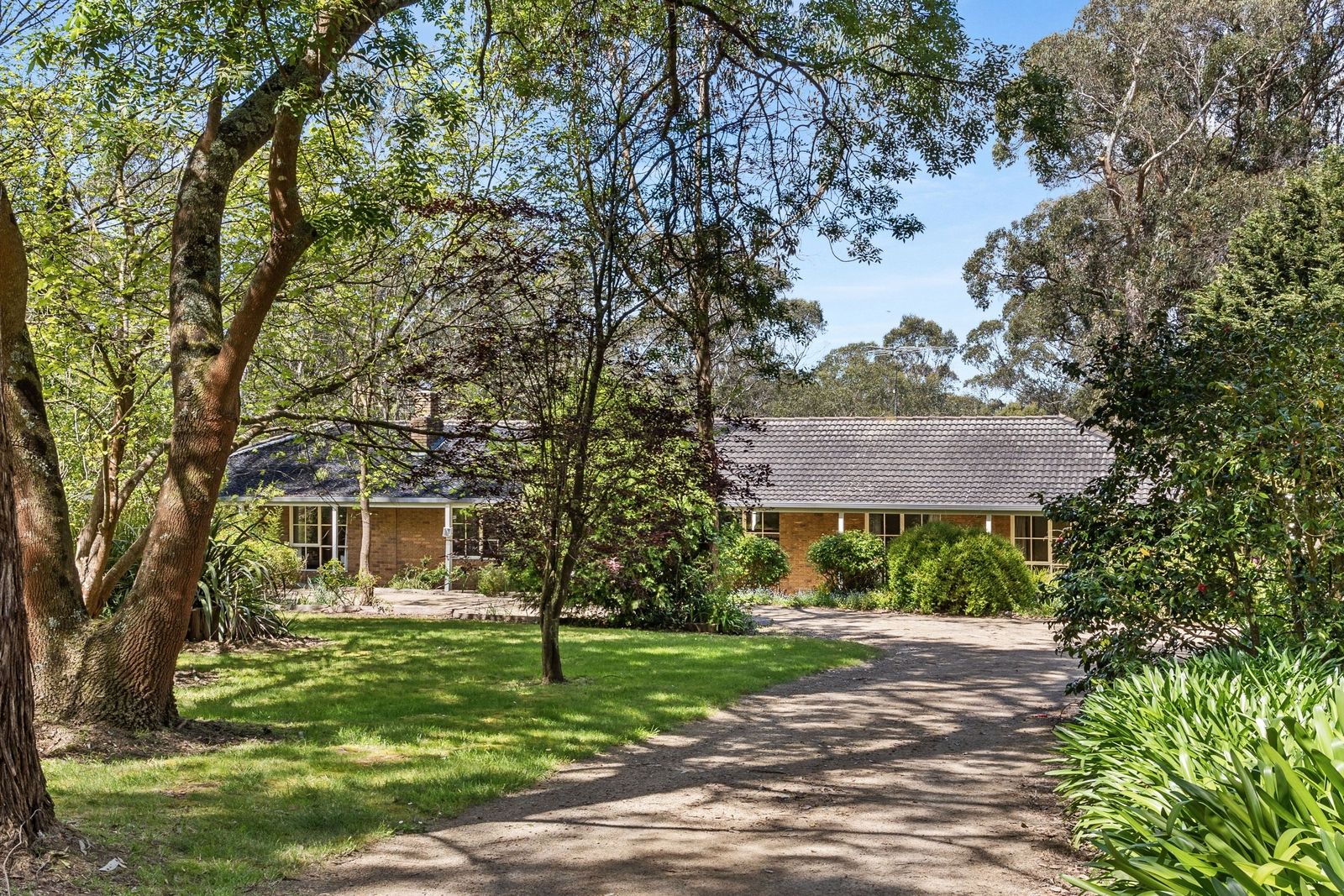 7 Bourke Road, Red Hill VIC 3937, Image 0