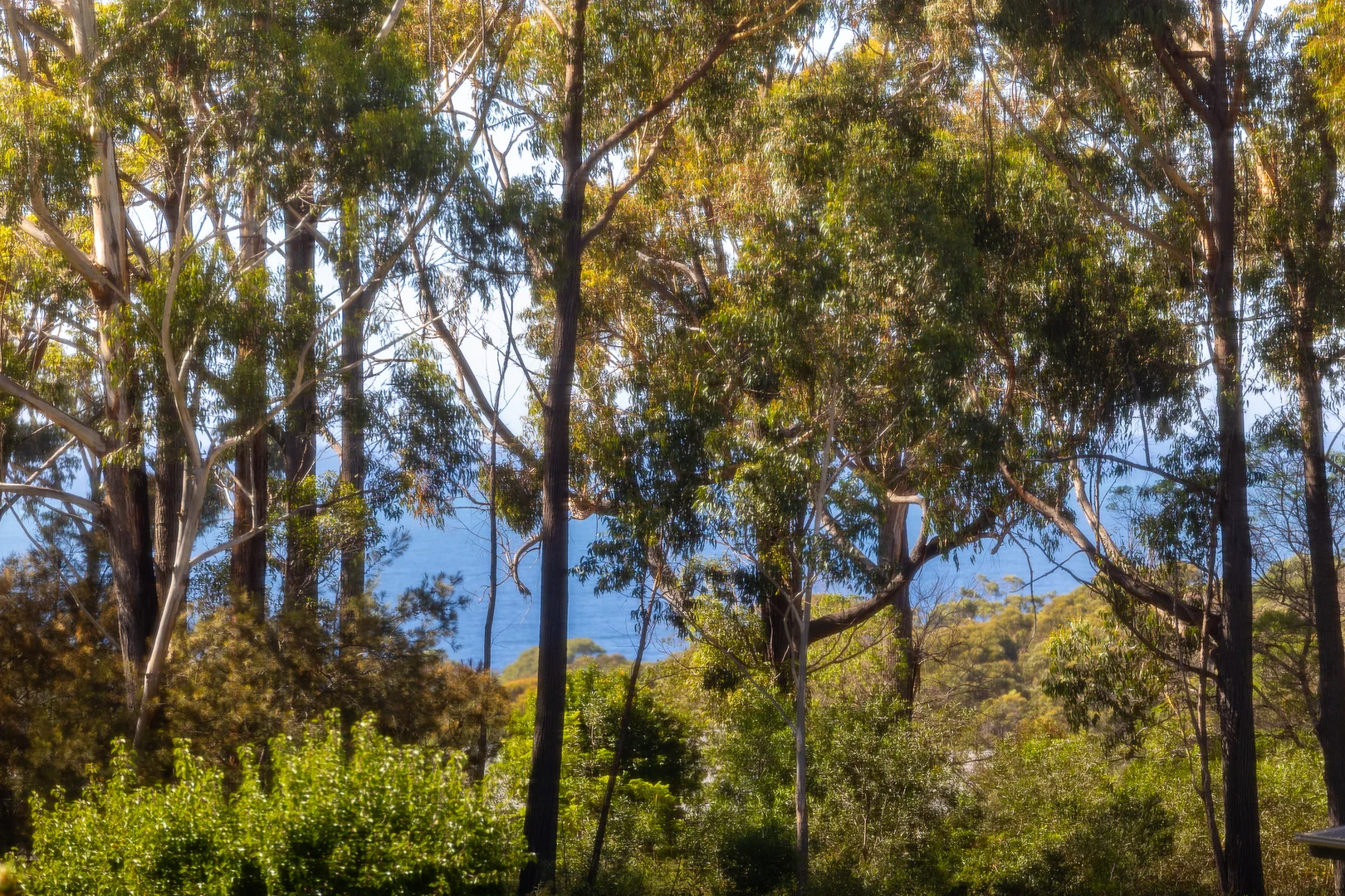 Additional image 22 of 8 Wallaby Way, Tura Beach NSW 2548