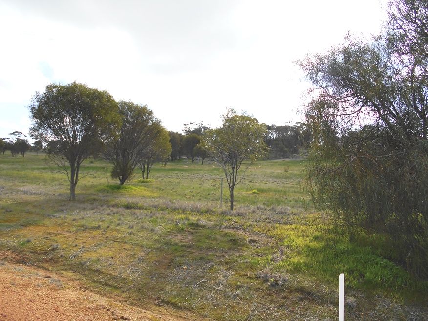 158 Prosser Road, Woodanilling WA 6316, Image 2