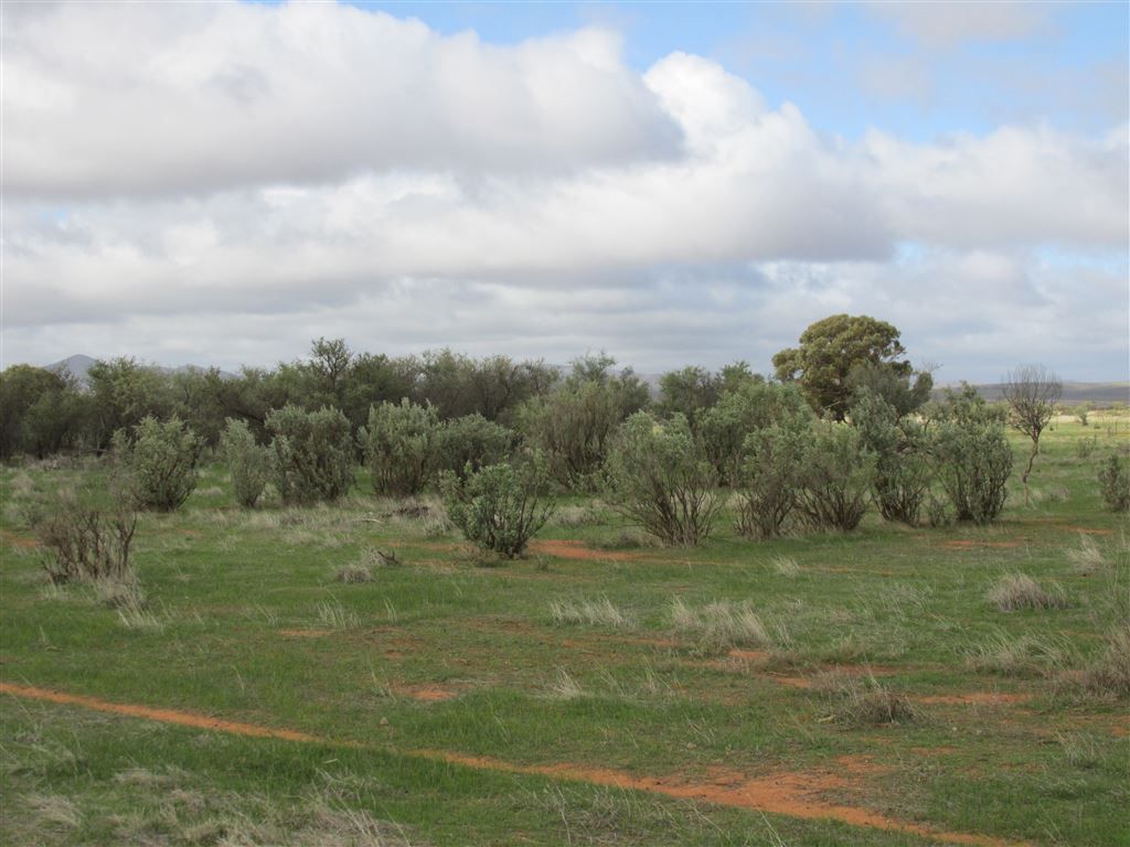 688 Minburra Road, Orroroo SA 5431, Image 0