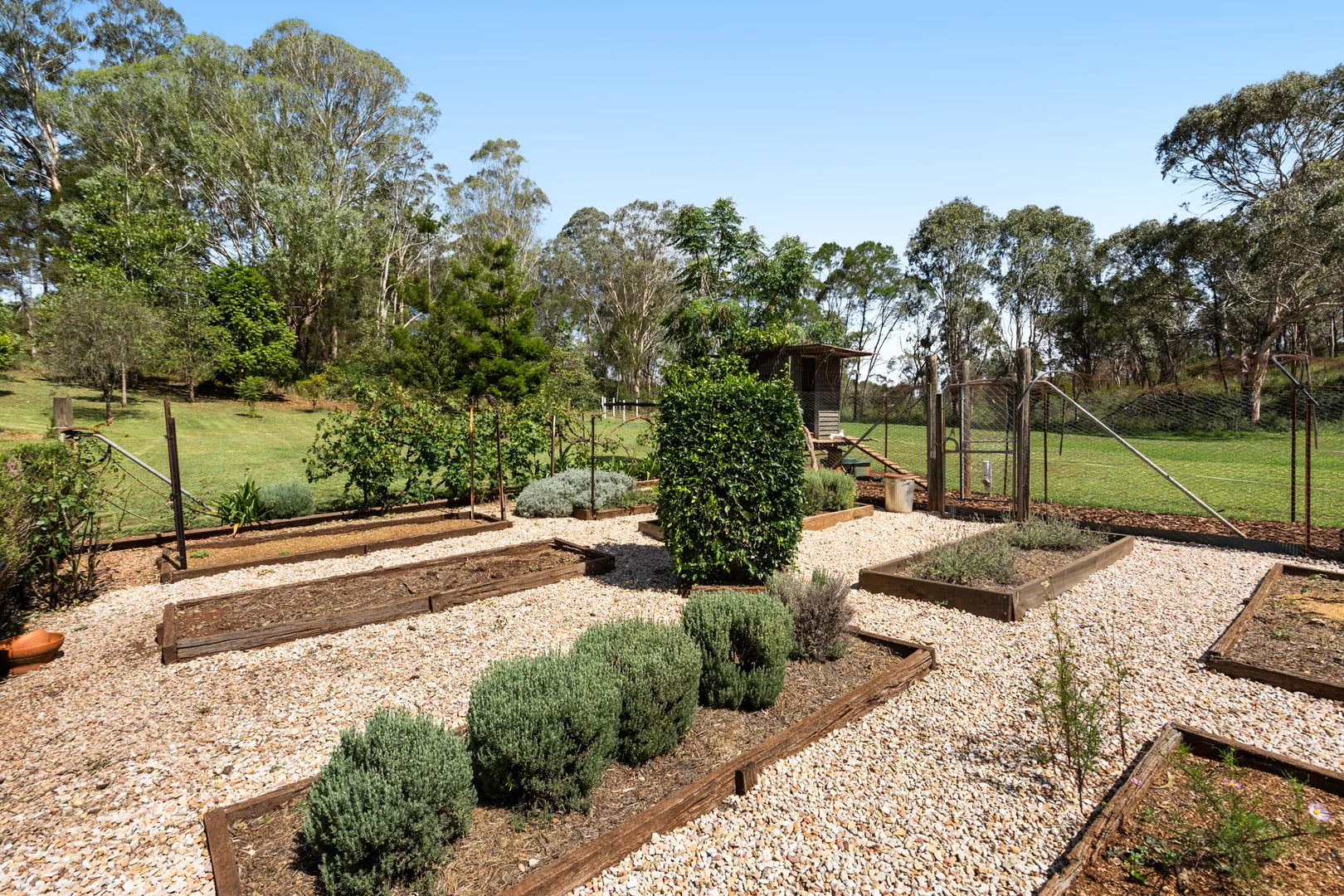 Additional image 12 of 205 Hampton Road, Hampton QLD 4352