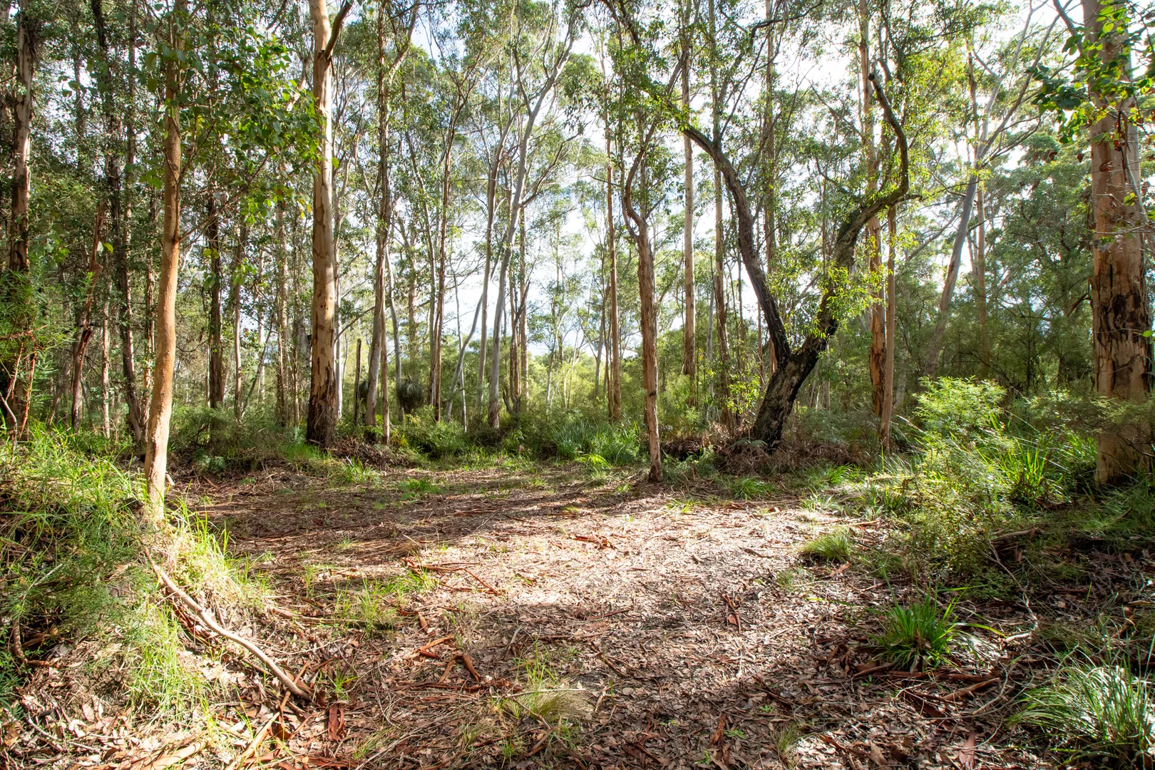 Image 14