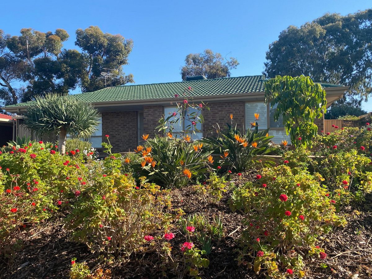 6 Woodall Court, Willaston SA 5118 House For Rent Domain