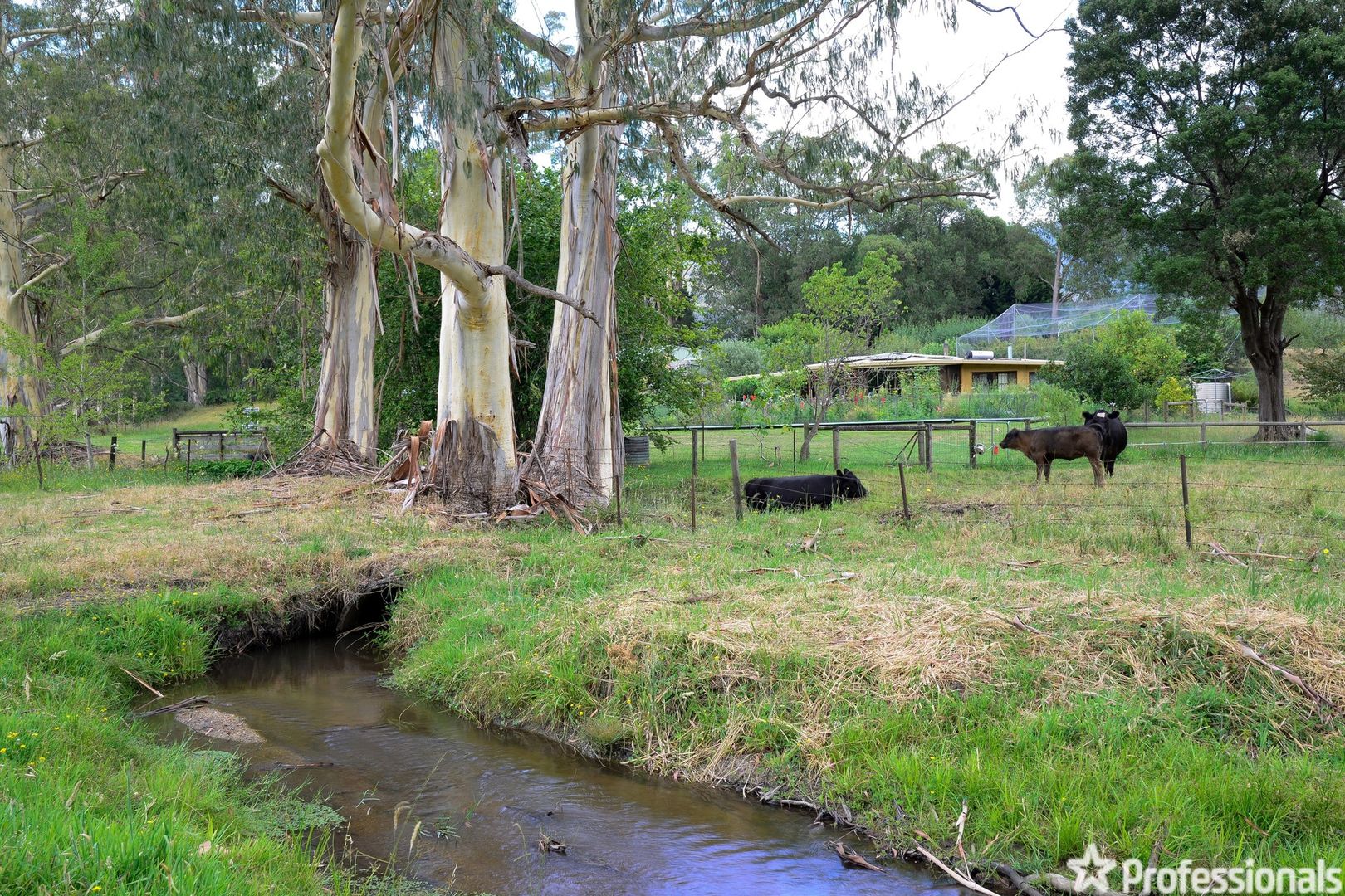 1075 Little Yarra Road, Three Bridges VIC 3797, Image 1