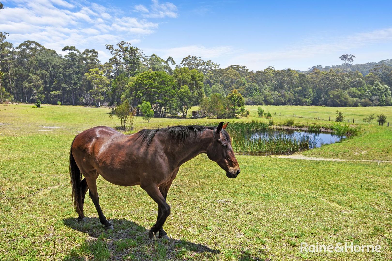 150 Bawley Point Road, Termeil NSW 2539, Image 2