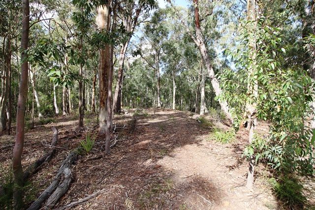 680 Brokenback Trail, CEDAR CREEK NSW 2325, Image 2