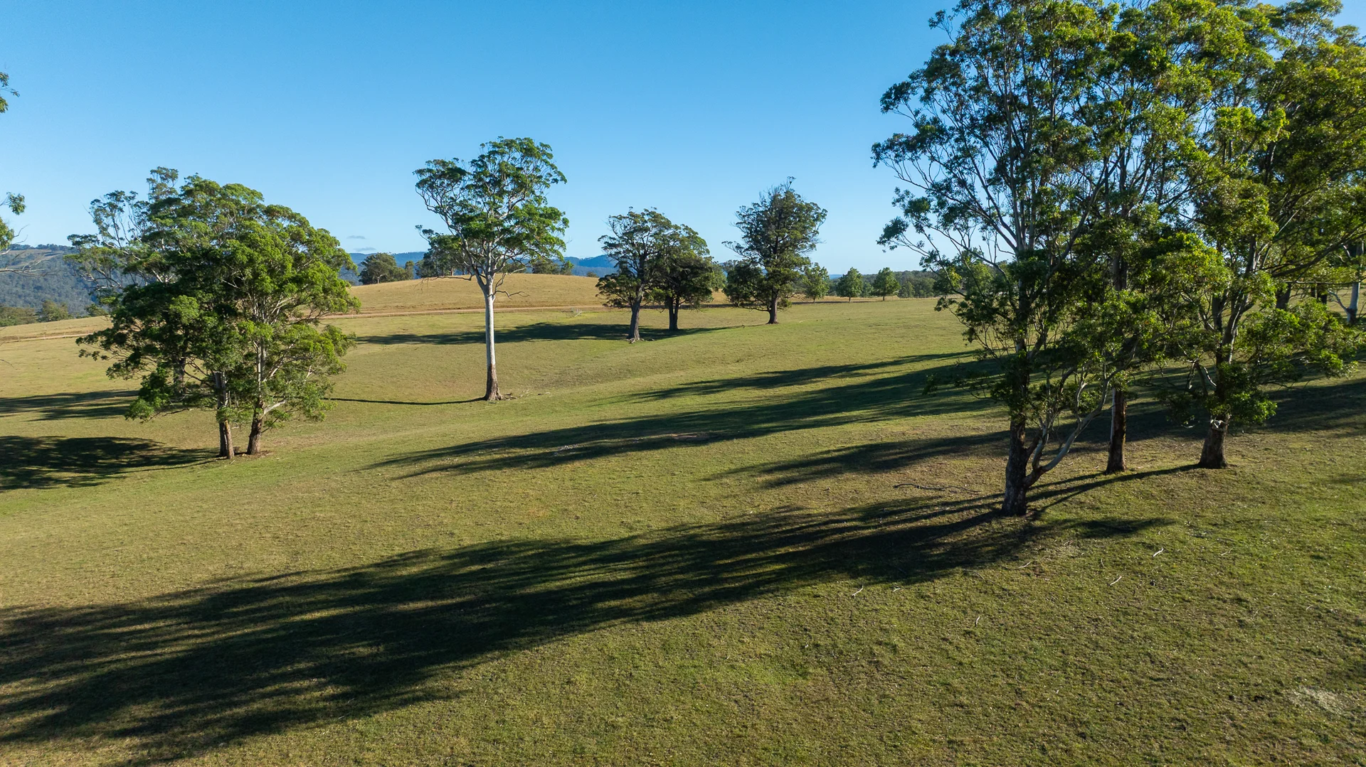 Image 32