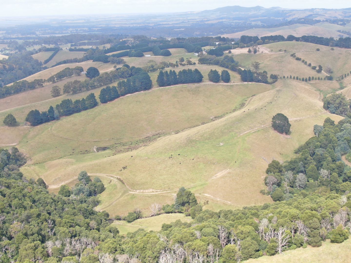 440. Ameys Track, Foster VIC 3960, Image 1