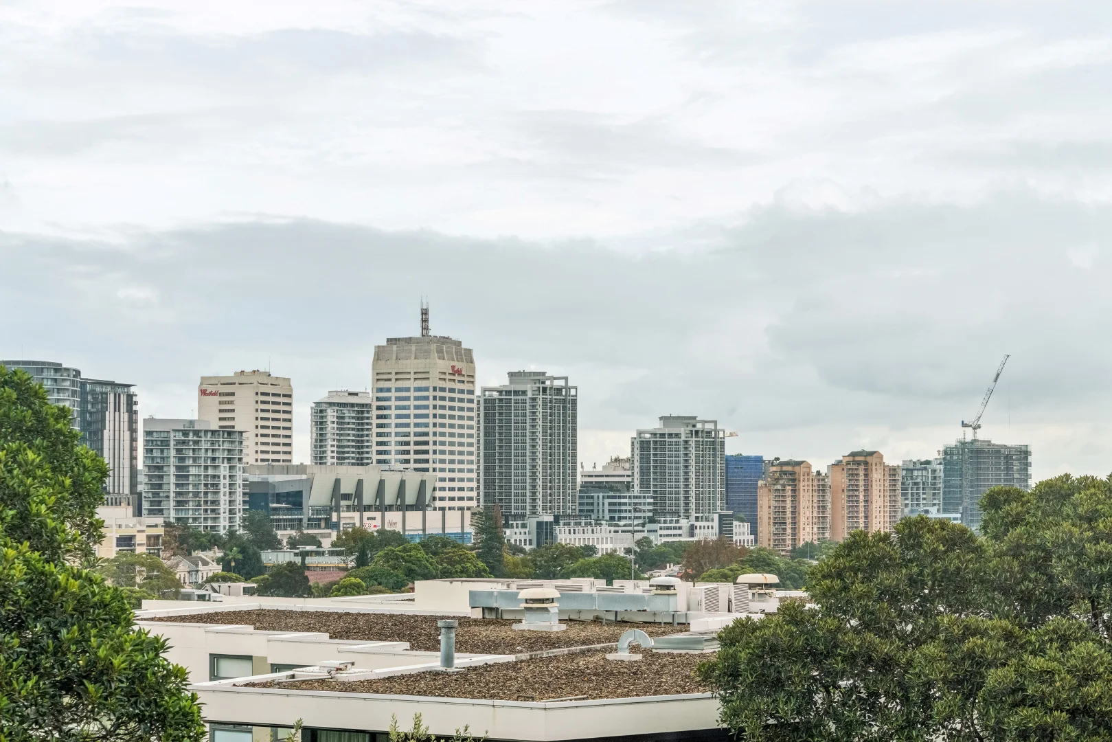 Additional image 7 of 3b/13-17 Bellevue Road, Bellevue Hill NSW 2023