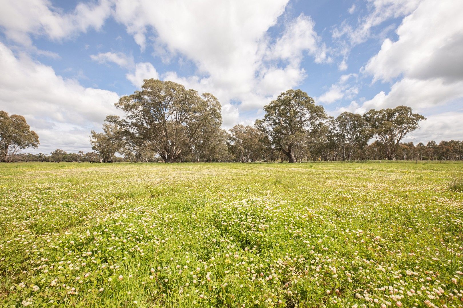 305 Rocky Castle Road, Penola SA 5277, Image 0