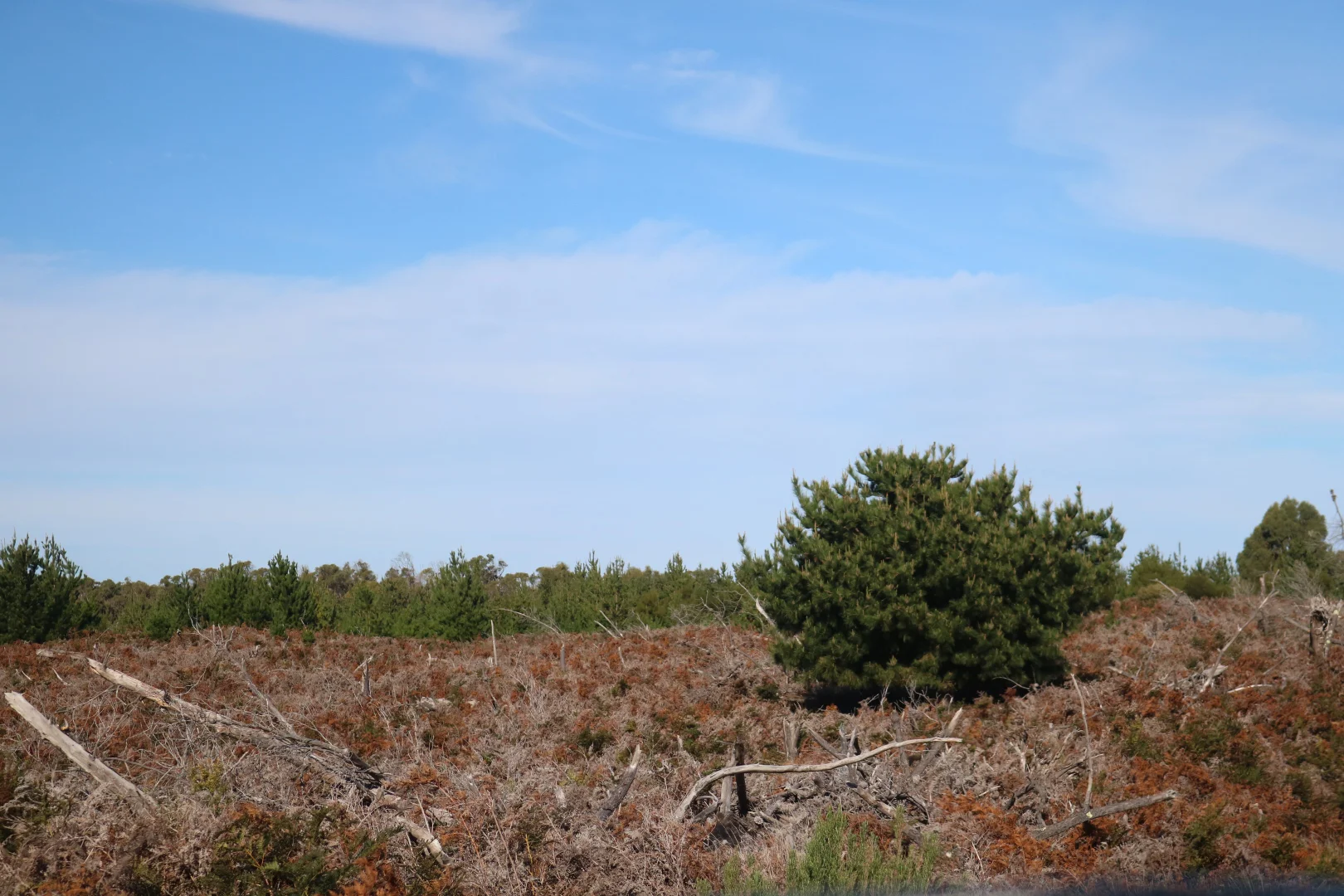 Image 33