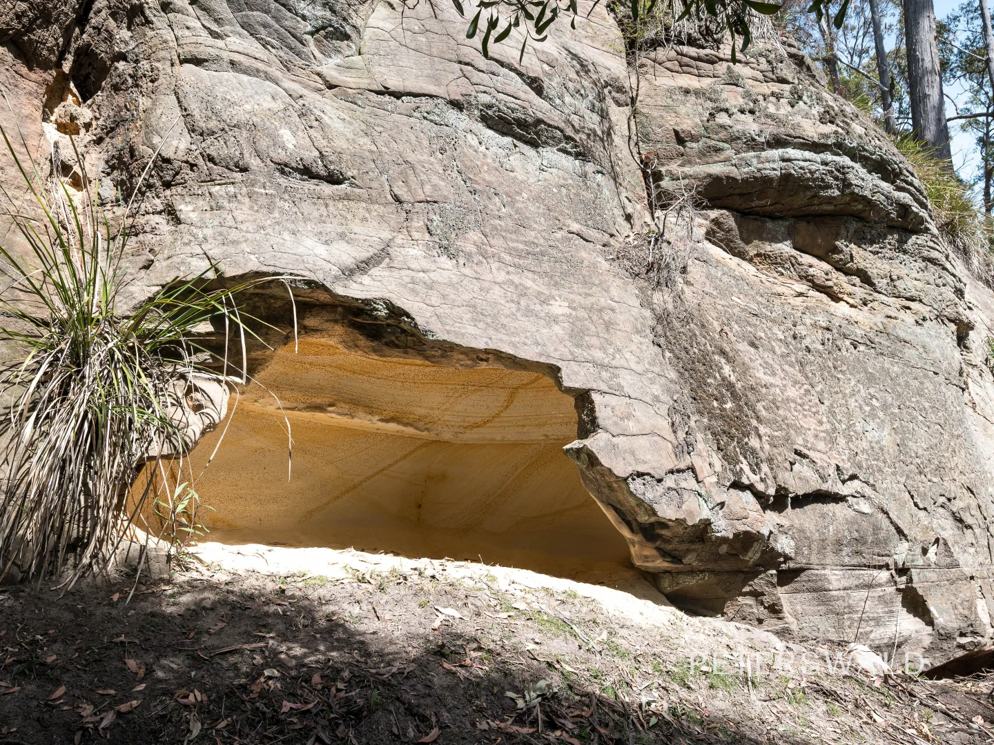 Image 33