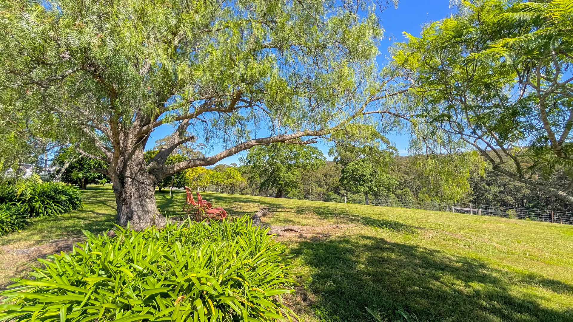 Additional image 48 of 9050 Springhills Road, Tilba Tilba NSW 2546