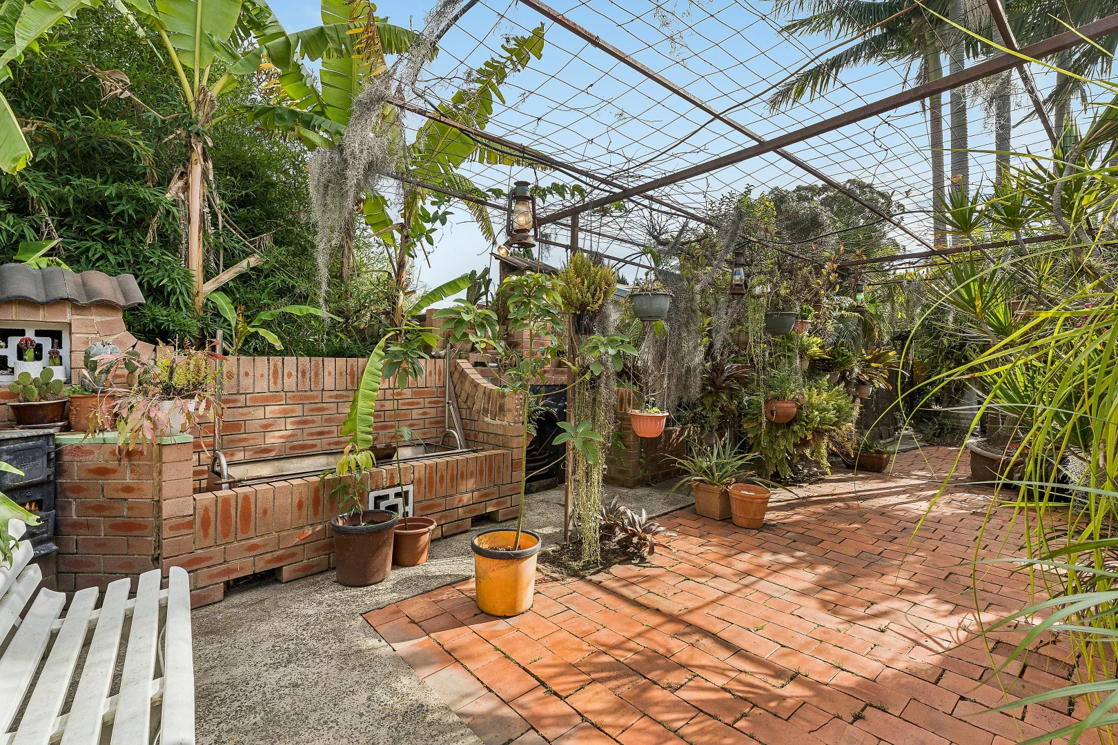 Image 10