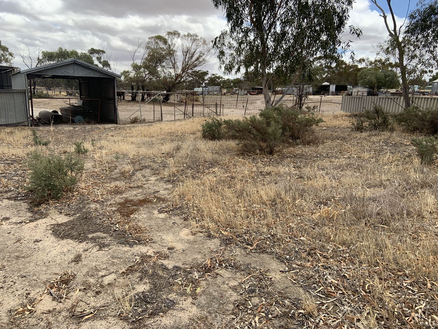 19 King Street, Kellerberrin WA 6410, Image 1