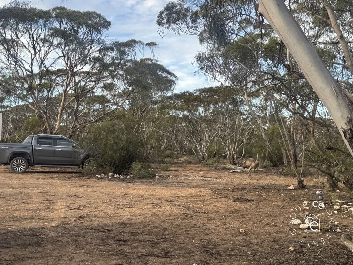 Additional image 37 of 385 Pipeline Road, Fisher SA 5354