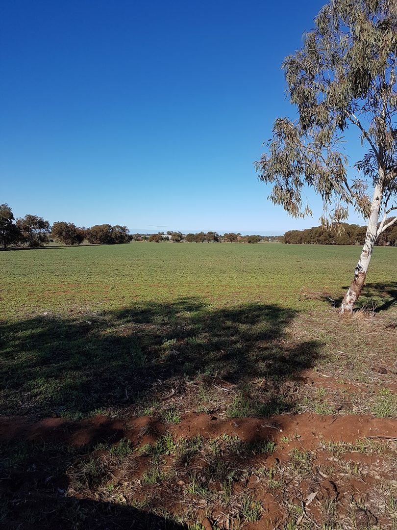 Lot 65 Evans Road, Walkaway WA 6528, Image 1