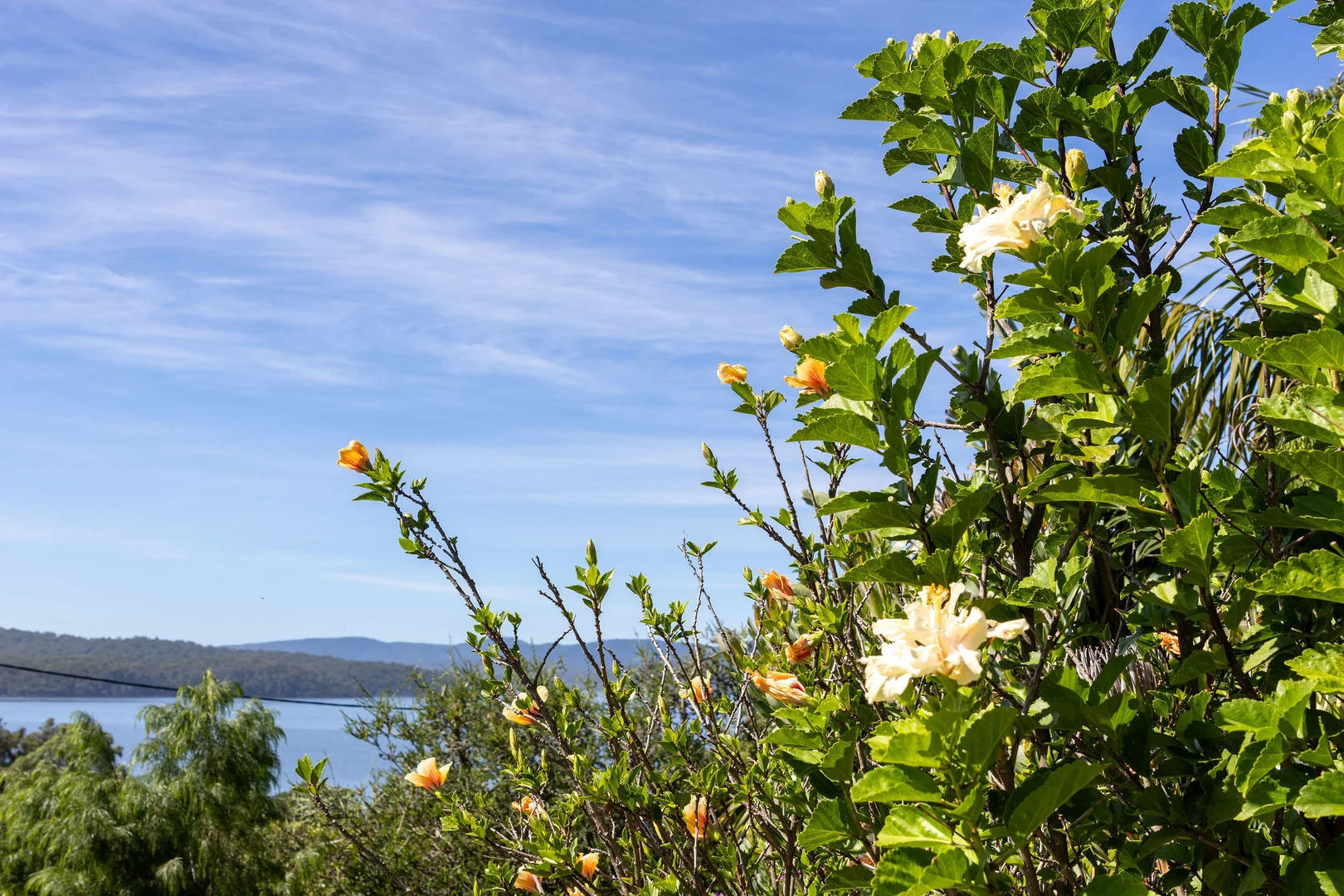 Additional image 12 of 3 Inlet View Court, Mallacoota VIC 3892