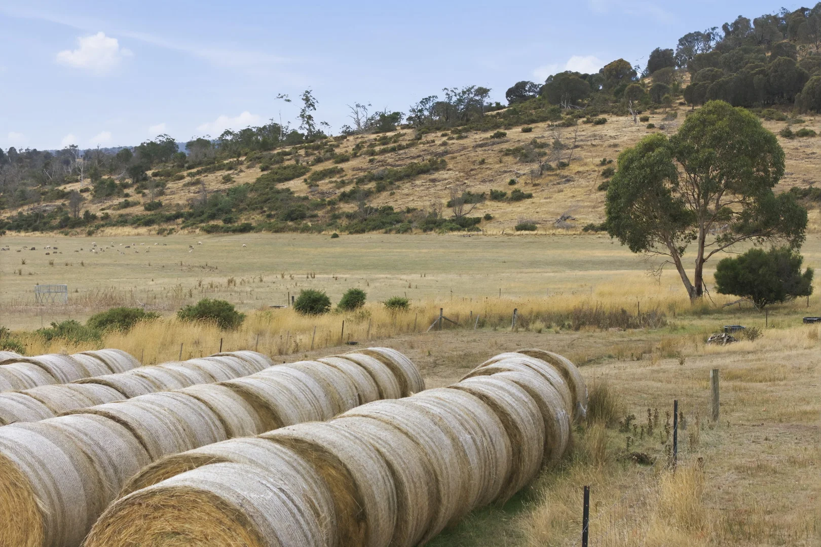 Additional image 22 of 411 Bryants Lane, Deddington TAS 7212