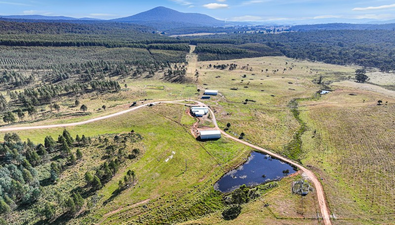 Picture of 1458 Bendoc-Orbost Road, BENDOC VIC 3888