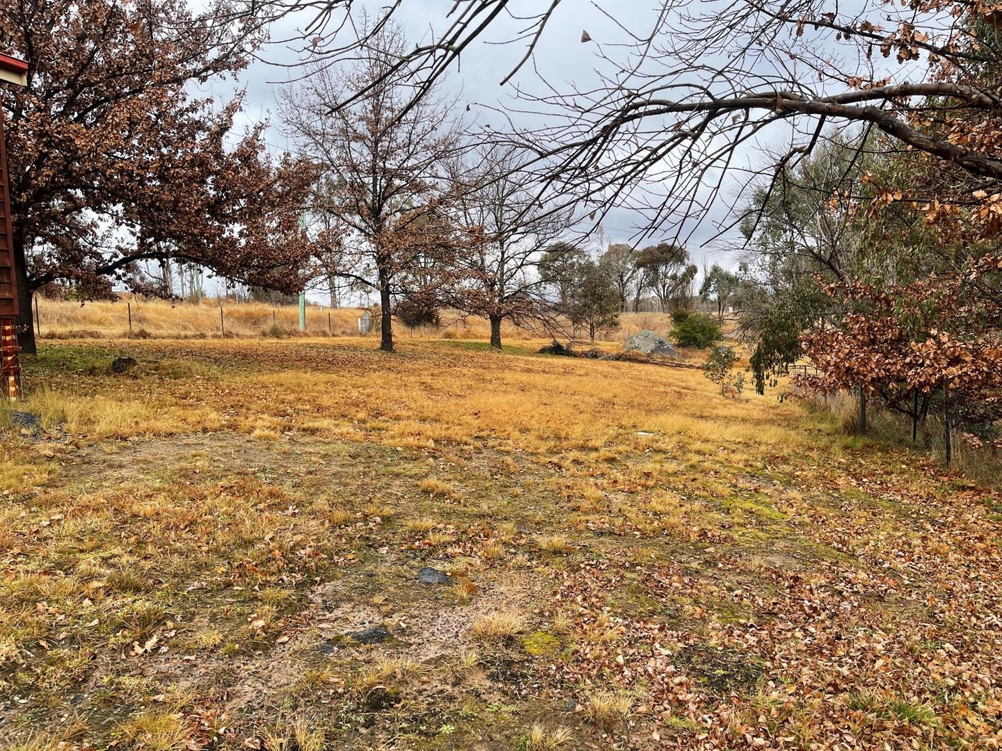 77 Barleyfields Road, Uralla NSW 2358 House For Rent Domain