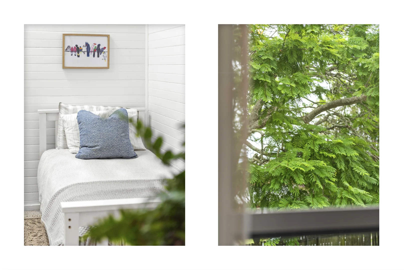 Additional image 27 of 12 Charles Street, Milton NSW 2538