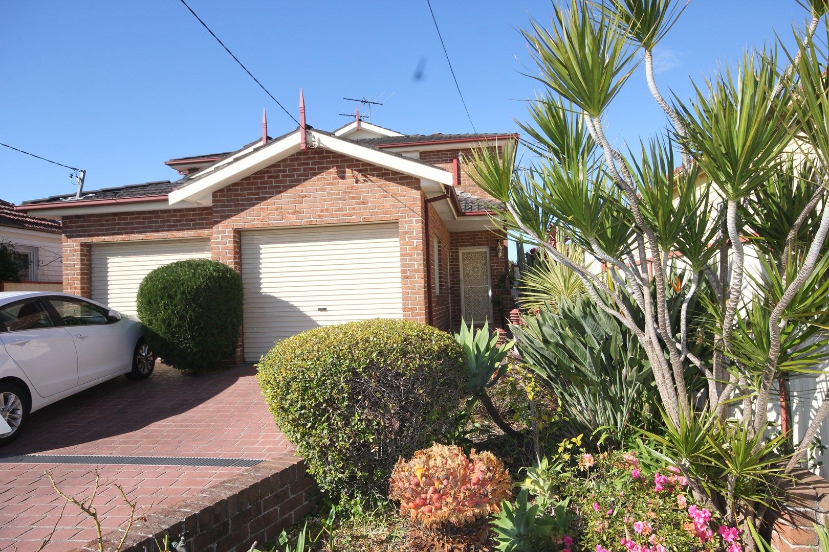 50A Shelley Street, Campsie NSW 2194, Image 0