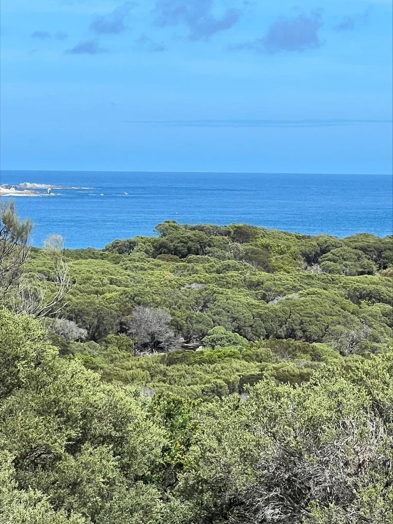 Additional image 18 of Lot 2 West End Road, Leeka TAS 7255