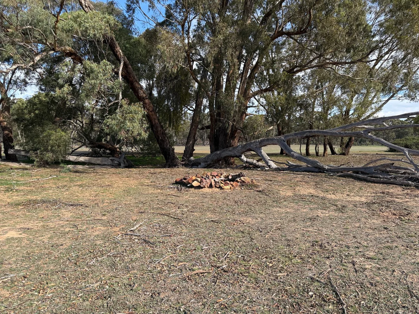 Image 14