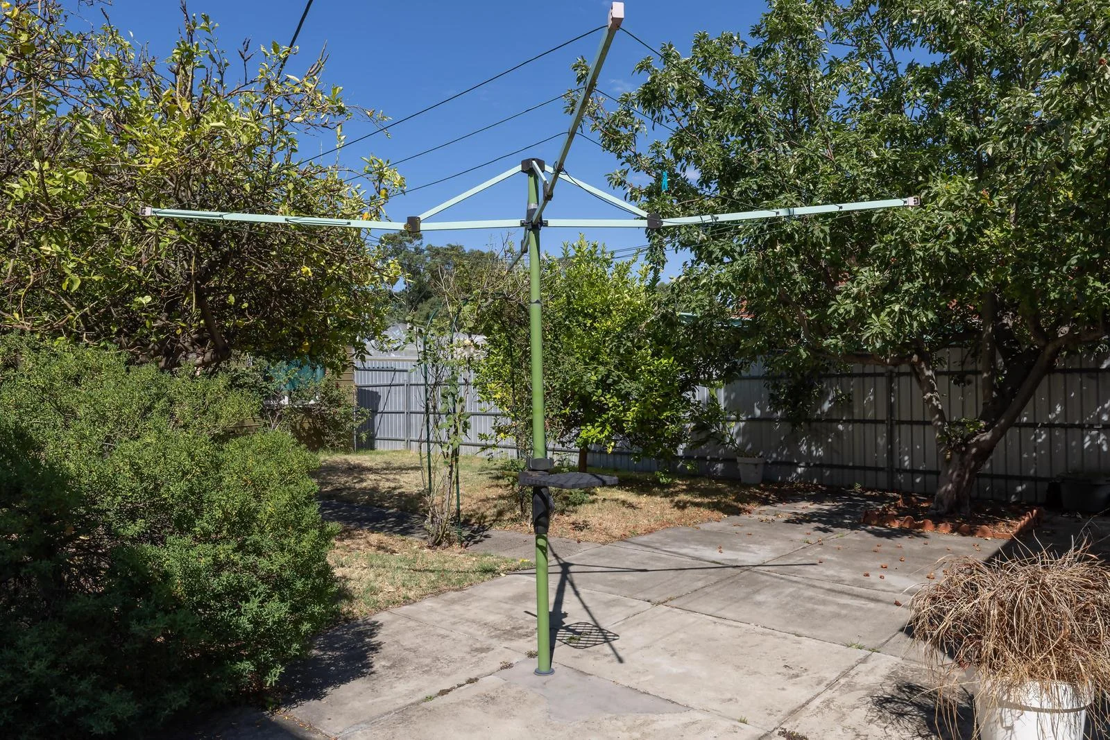 Image 10