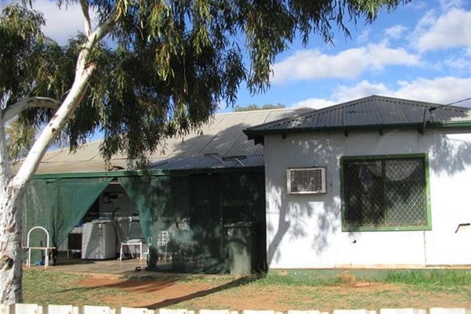 Picture of 55 Hill Street, MEEKATHARRA WA 6642