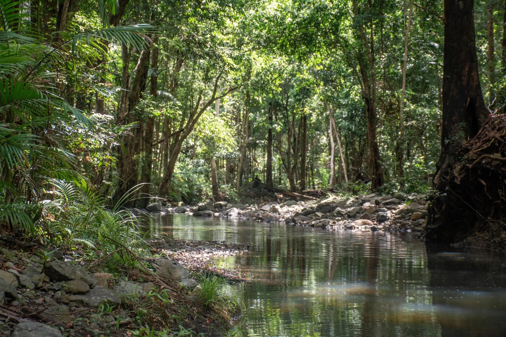 Additional image 31 of 1980 Maleny Stanley River Road, Booroobin QLD 4552