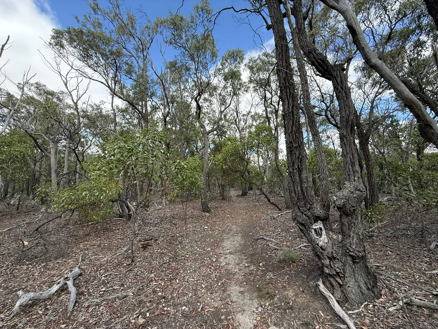 Image 11