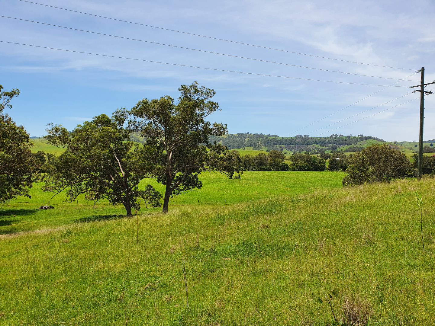 East Gresford NSW 2311, Image 1