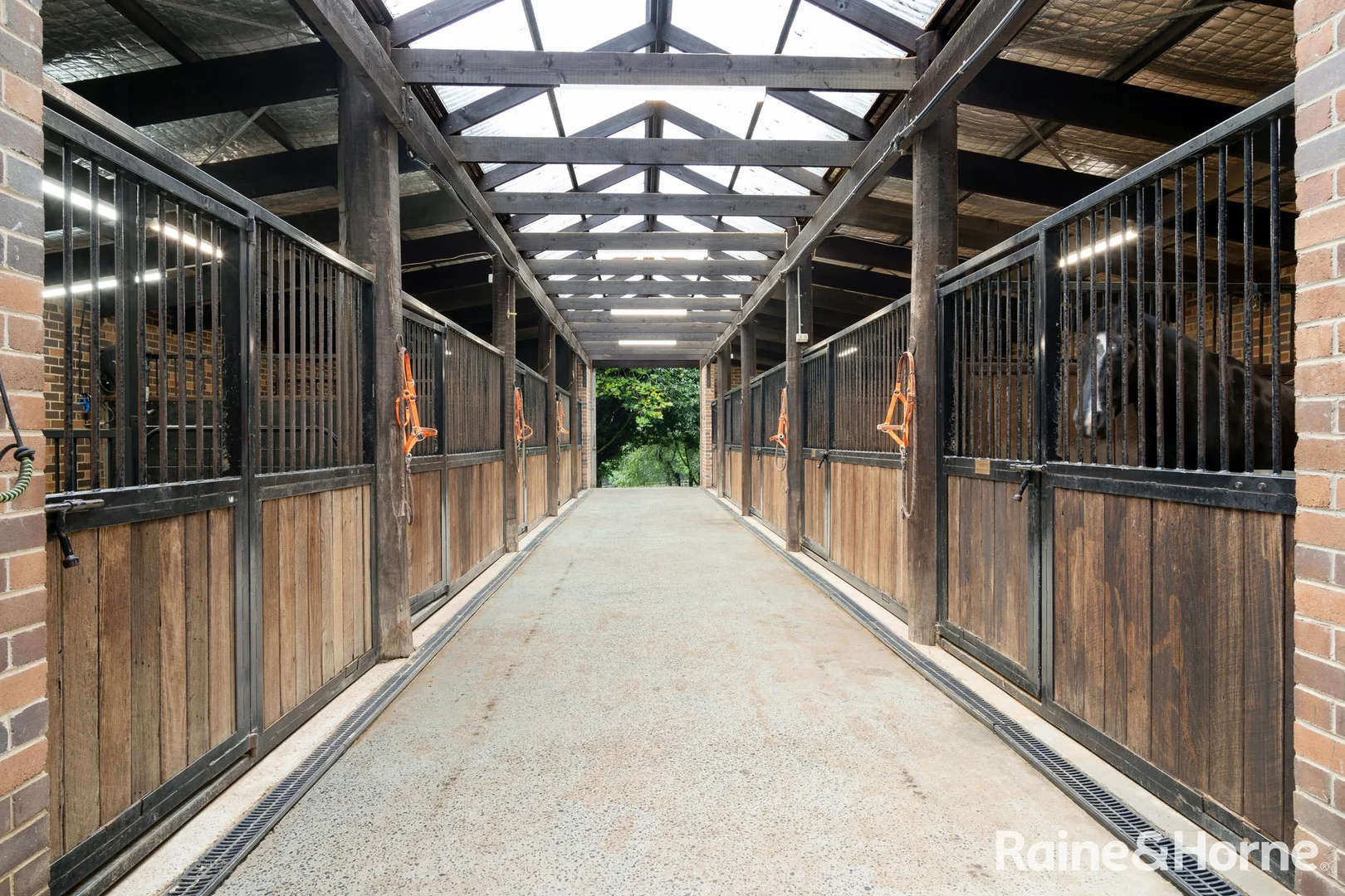 Additional image 11 of 101 Pearsons Lane, Robertson NSW 2577