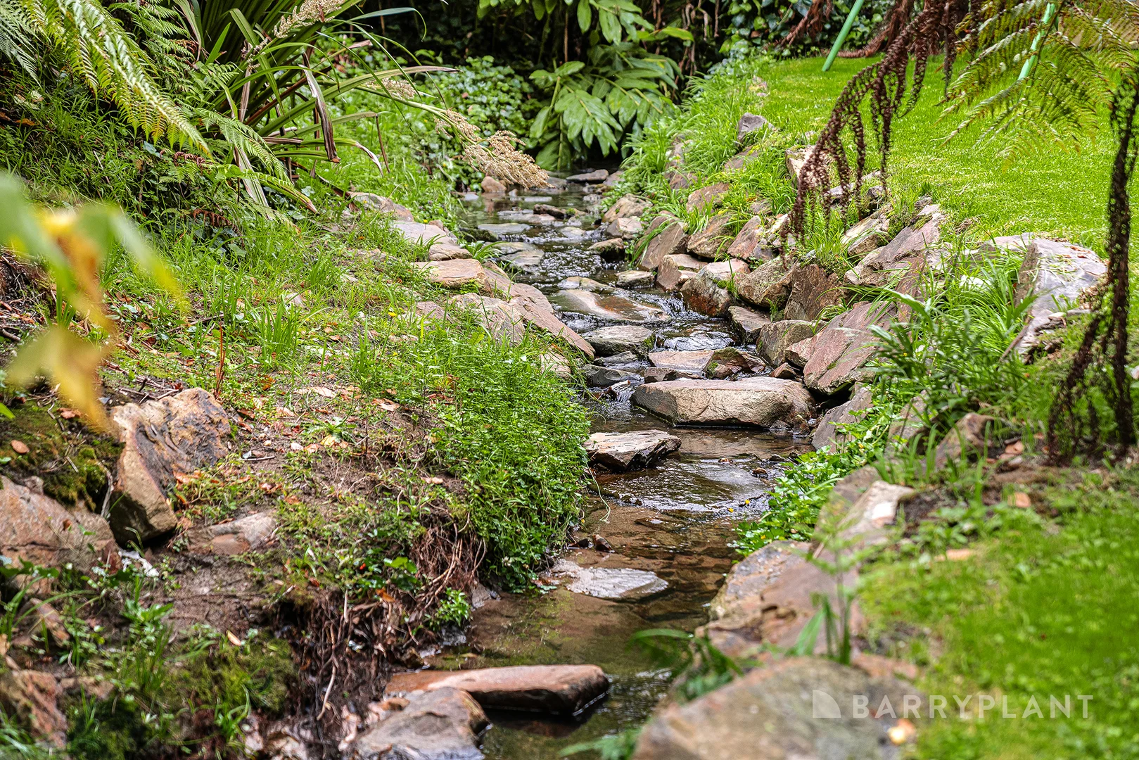 Image 17
