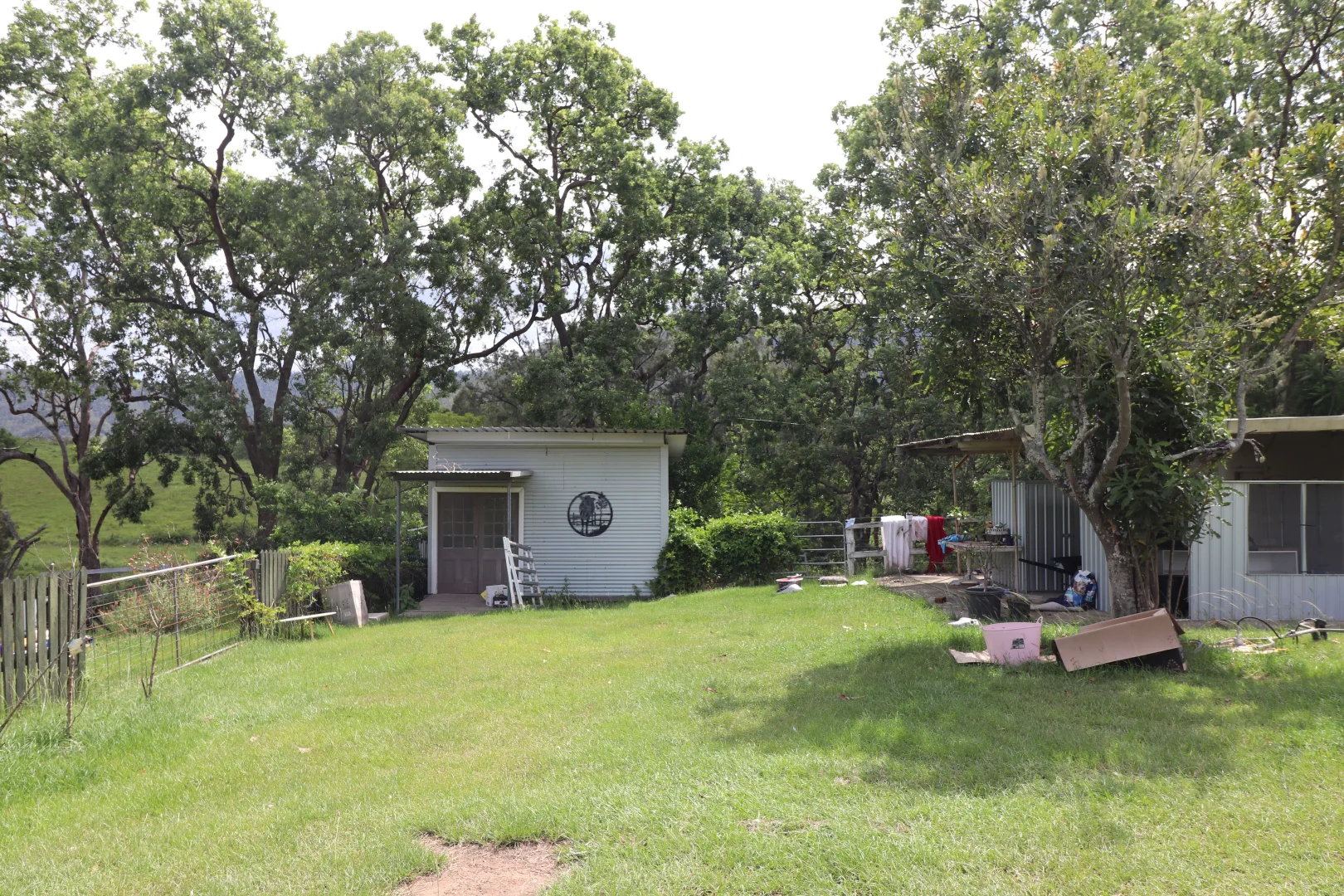 Image 13