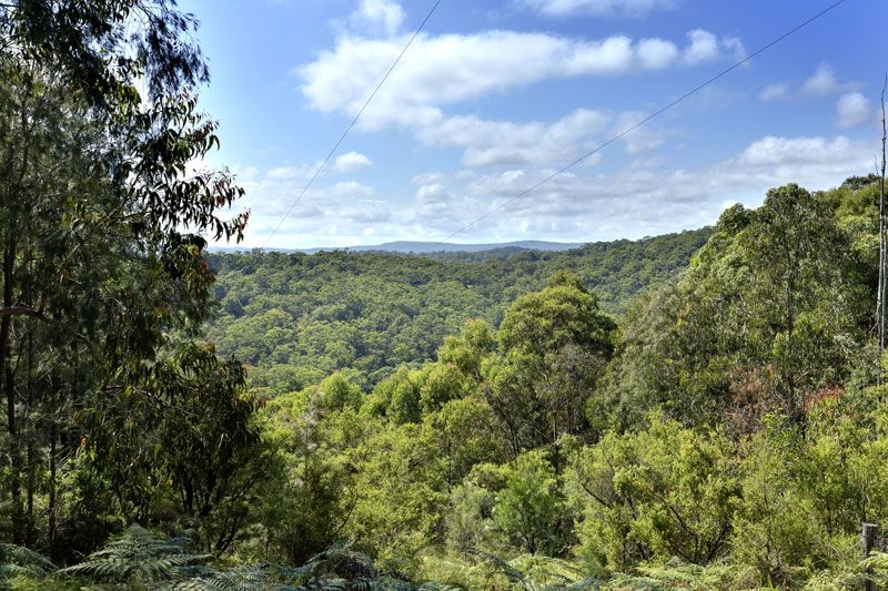 106 Private Rd No.3, Bucketty NSW 2250, Image 1