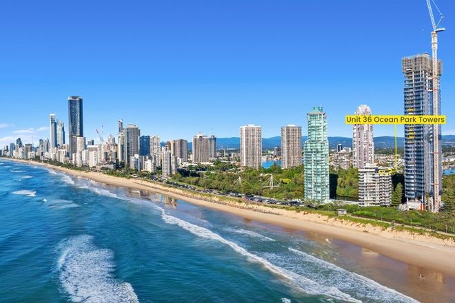 36/3490-3494 Main Beach Parade Main Beach 4217 - Image 3