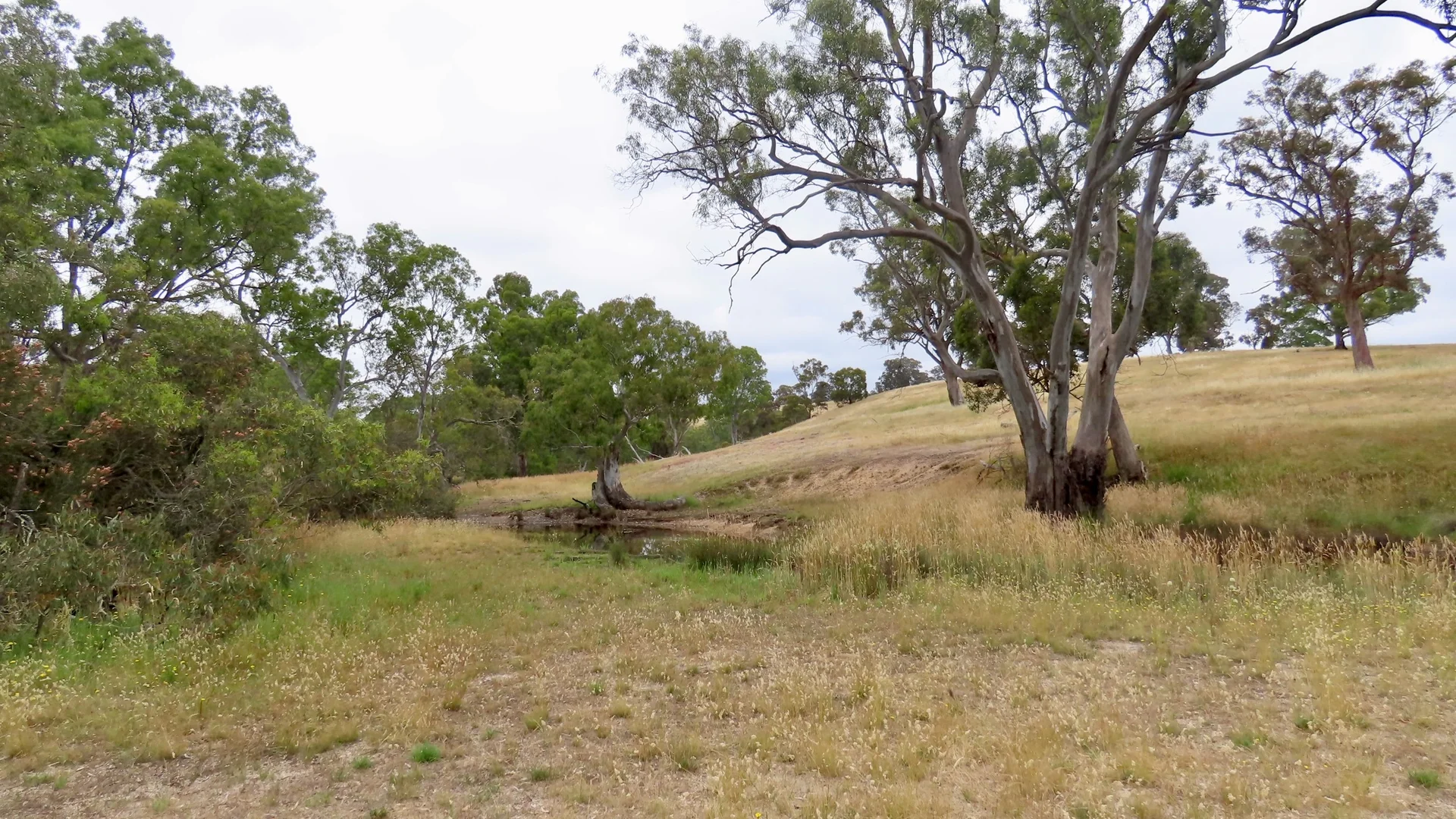 Additional image 34 of 596 Mostyn Lane, Balmoral VIC 3407