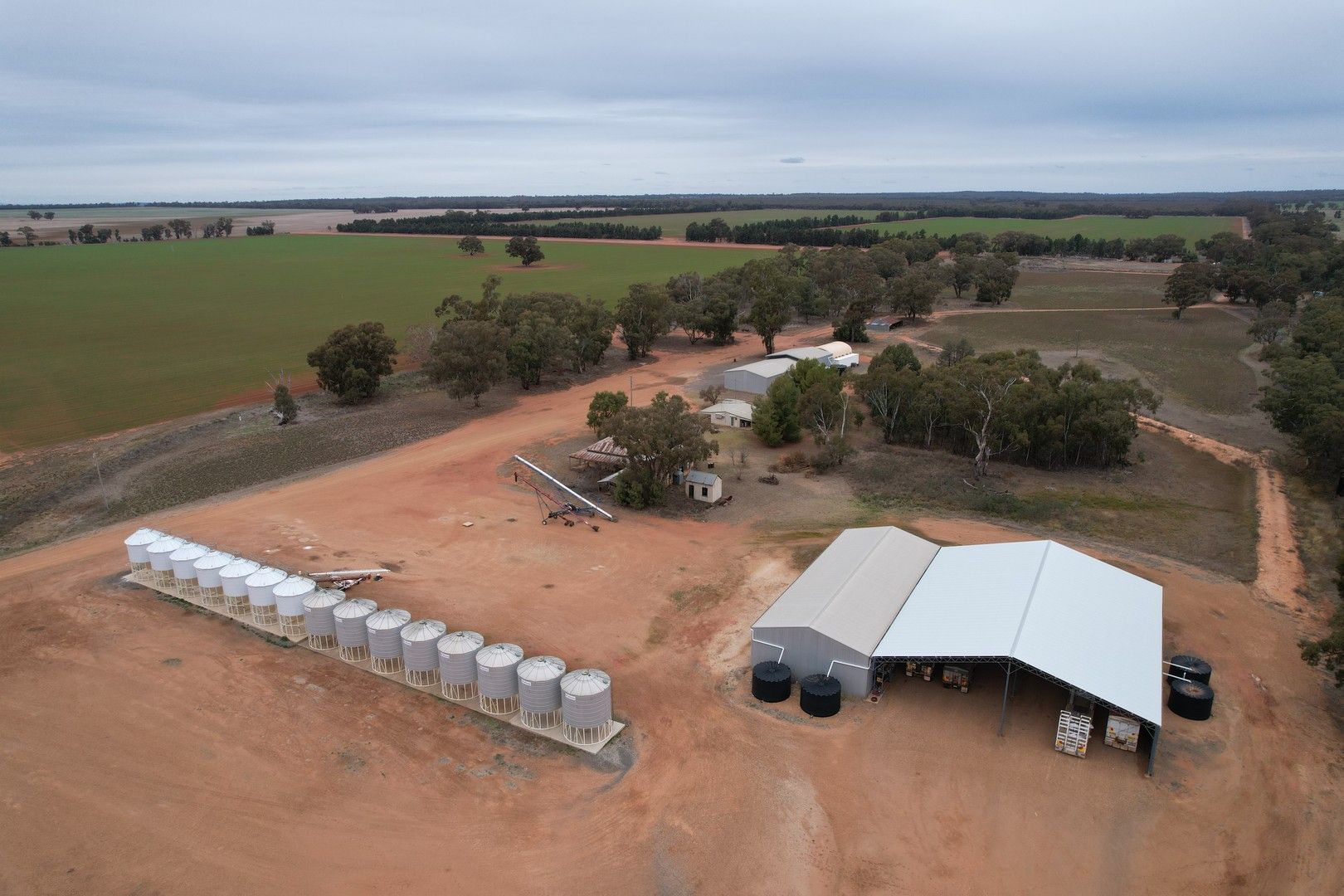 Trundle NSW 2875 Cropping Property for Sale Domain